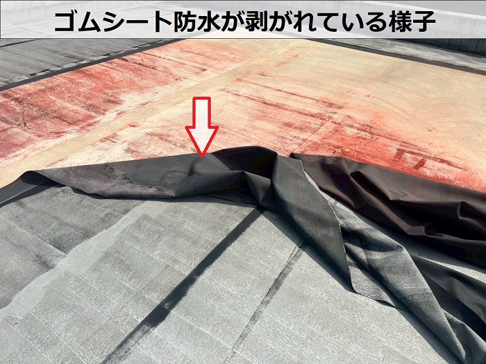 ゴムシート防水が剥がれている様子