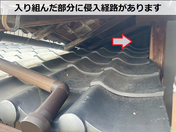 猫の侵入経路