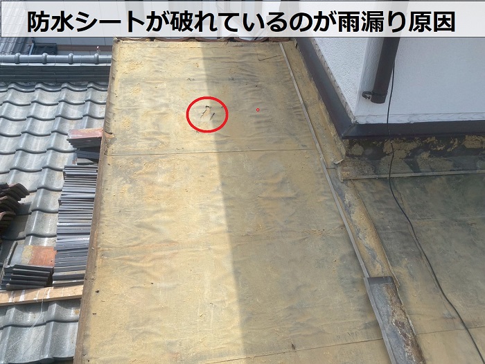 防水シートの破れ