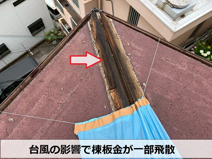 棟板金が飛散している様子