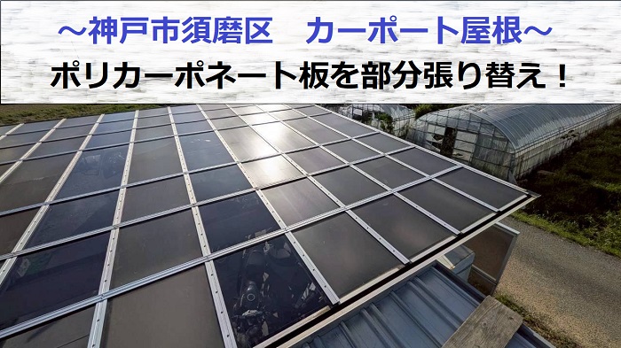 カーポート屋根の部分貼り替えを行なう現場の様子