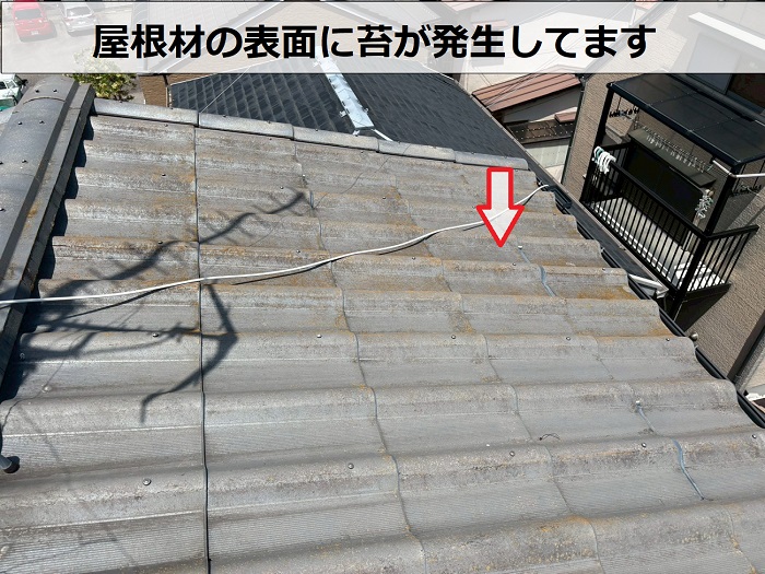 屋根材の表面に苔が発生してます