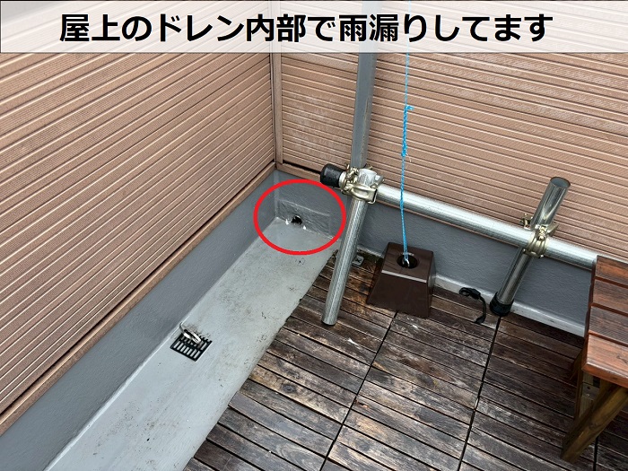 屋上の排水ドレン