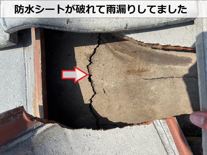 防水シートの破れ
