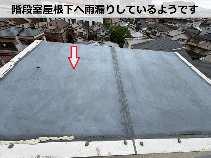 劣化したシート防水