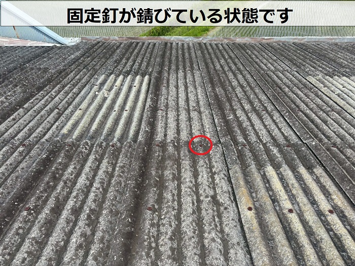 固定釘が錆びている様子