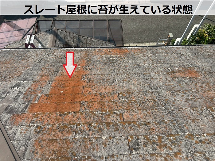 スレート屋根に発生する苔