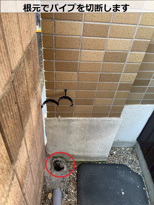 パイプを根元で切断