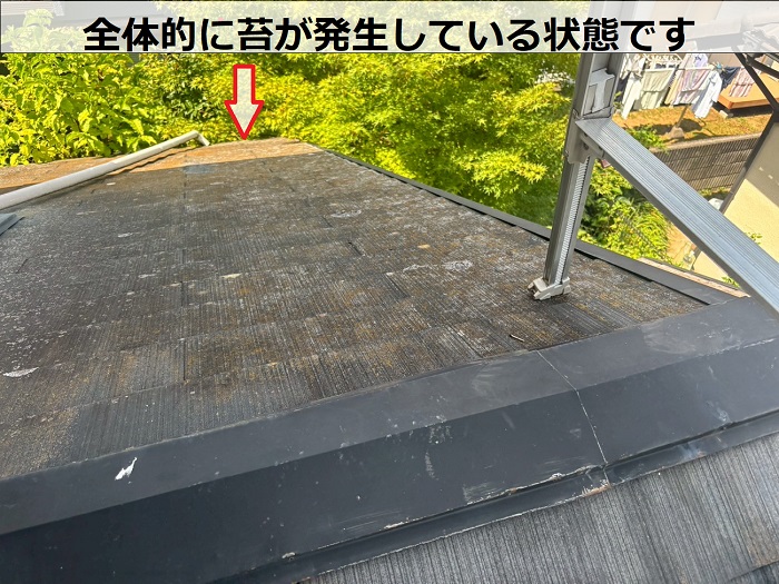 苔が発生したアスベスト含有屋根材