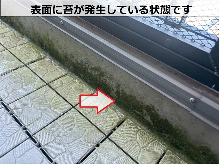 塩ビシートの表面に発生する苔