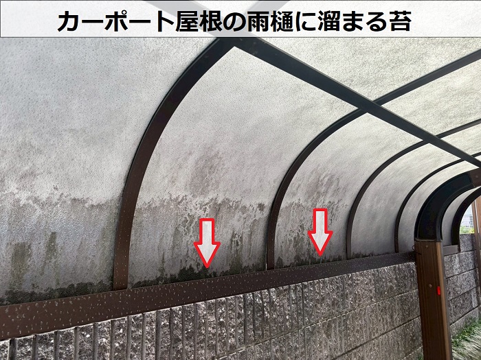 カーポート屋根の雨樋に溜まる苔