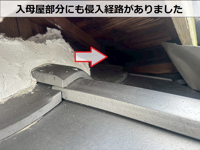 猫の侵入経路