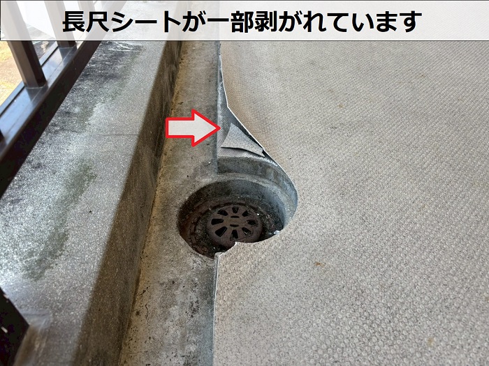 長尺シートが剥がれている様子