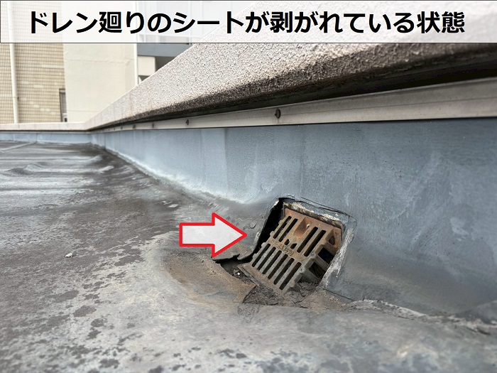 ドレン廻りのシートが剥がれている様子