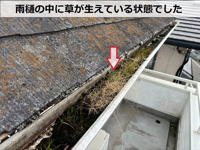 雨樋に溜まる泥