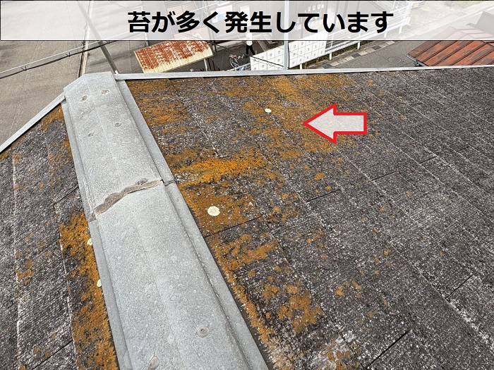 スレート屋根の苔