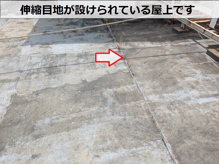 屋上の様子