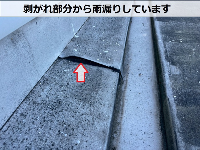 シート防水の剥がれ