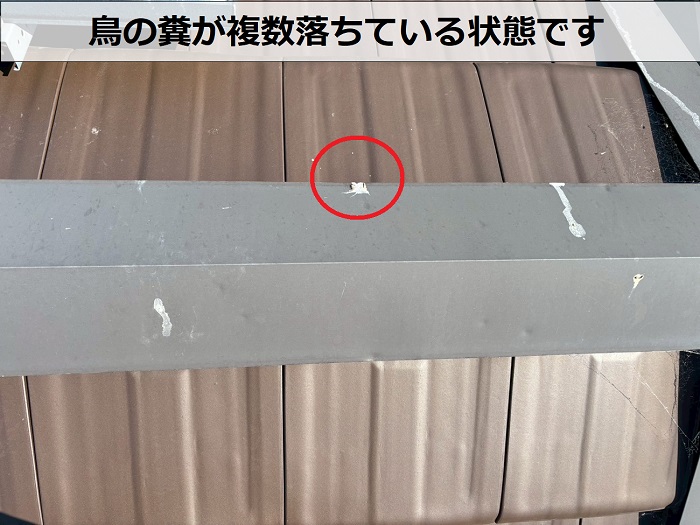 屋根上の鳥の糞