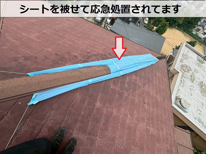 シート養生された棟板金
