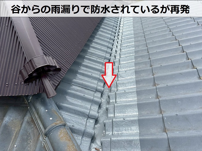 雨漏りしている谷