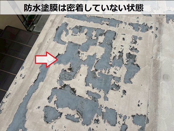 剥がれた防水塗膜
