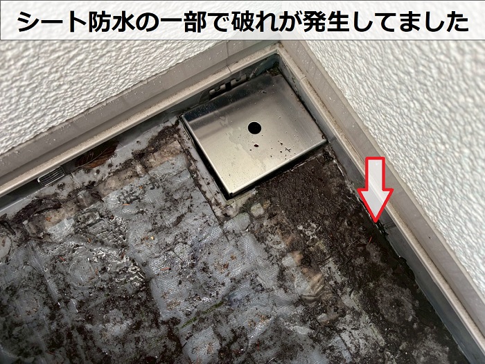 シート防水の破れ