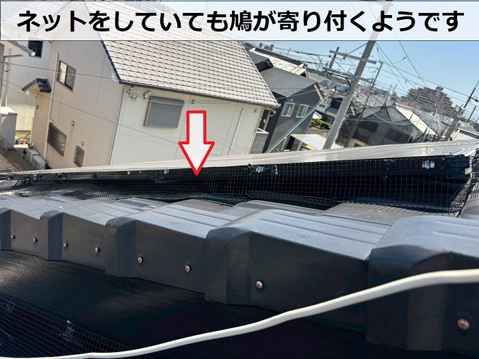 鳩除けネット
