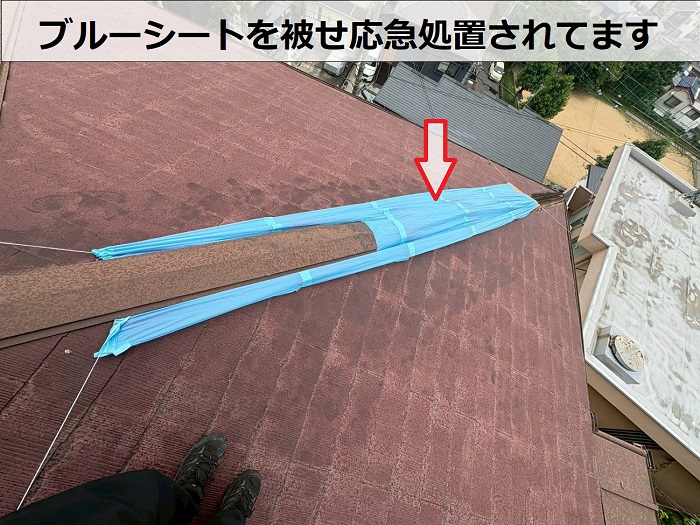 ブルーシートを被せている様子