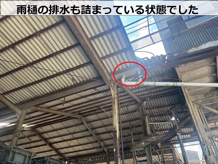 排水ドレンの詰まり