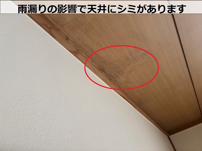 天井に発生するシミ