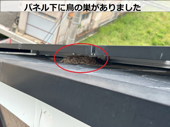 パネル下にある鳥の巣