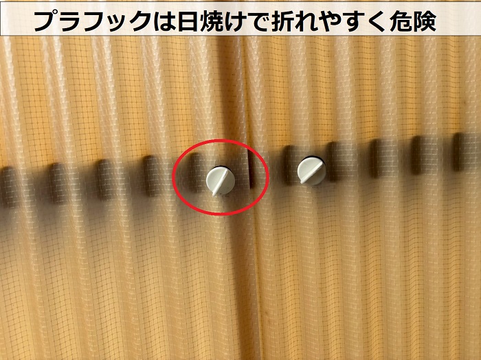 日焼けしたプラフック