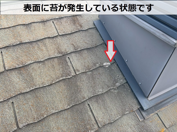 苔の発生したカラーベスト屋根