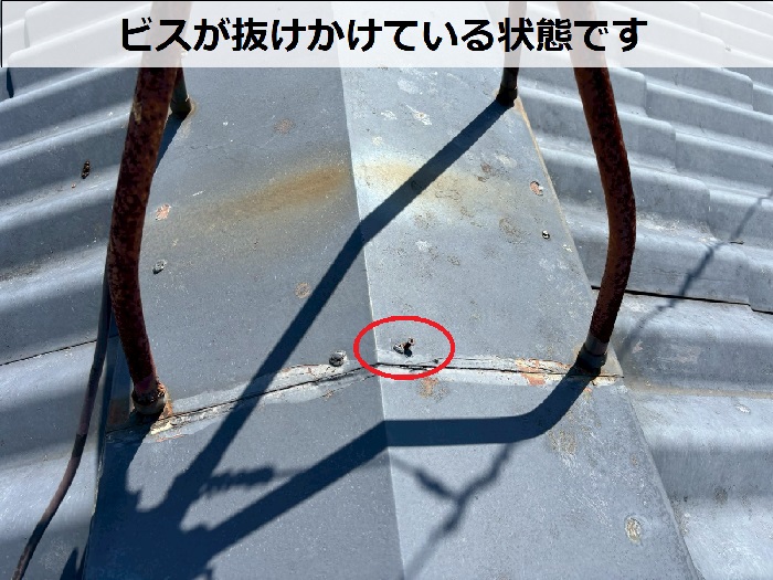 屋根のビスが抜けかけている様子