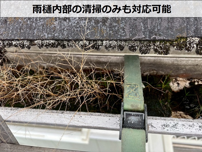 樋内部の泥