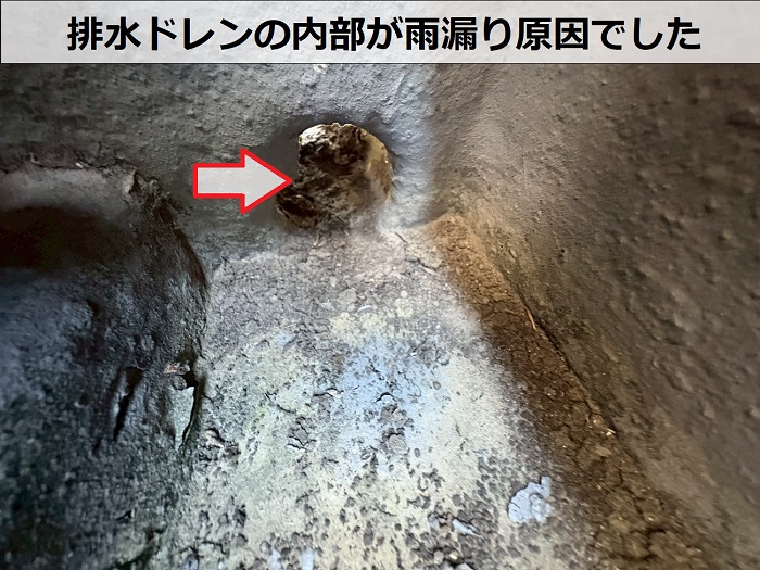 排水ドレン内部