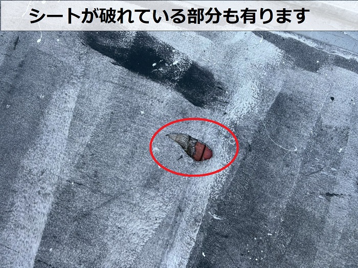 シート防水の剥がれ