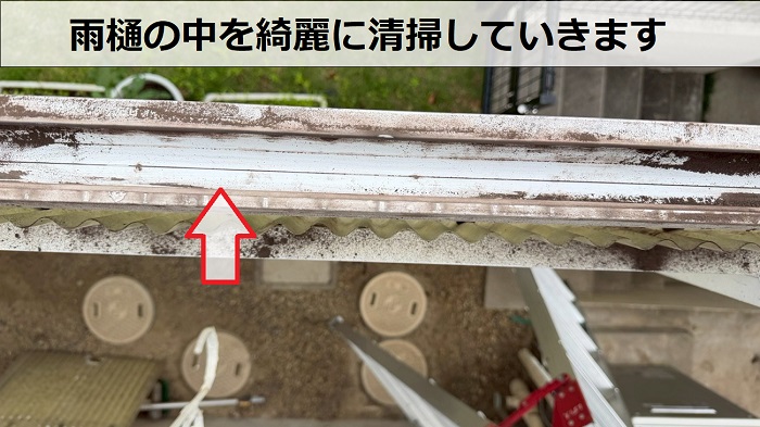 雨樋清掃