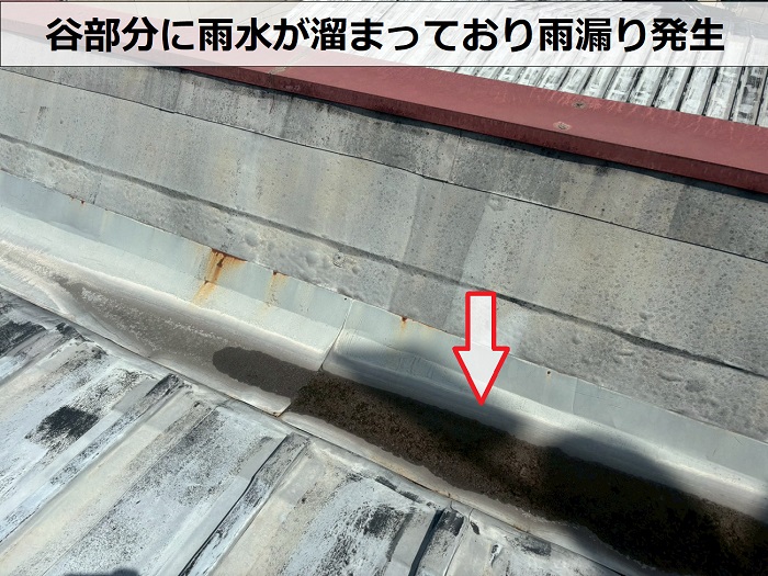 谷樋の水溜まり