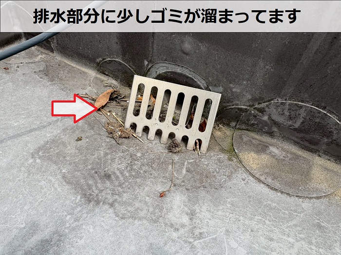 排水ドレンに溜まるゴミ