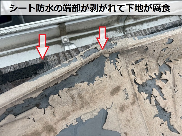 シート防水の剥がれ