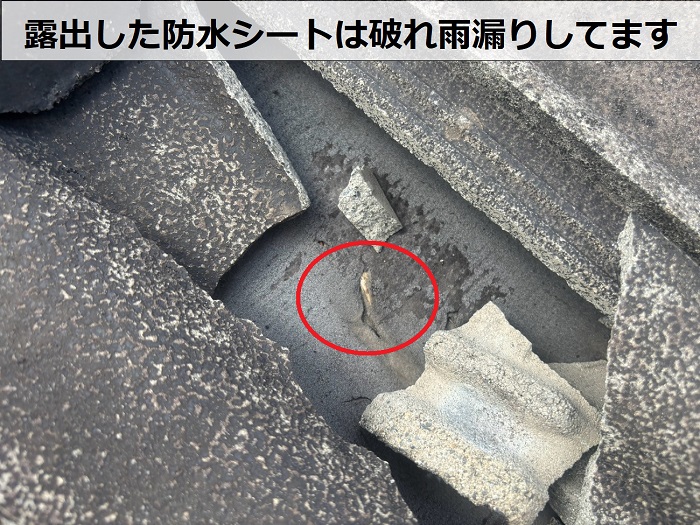 防水シートが破れている様子