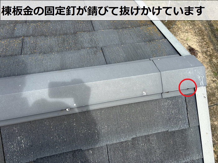 棟板金の釘の抜け