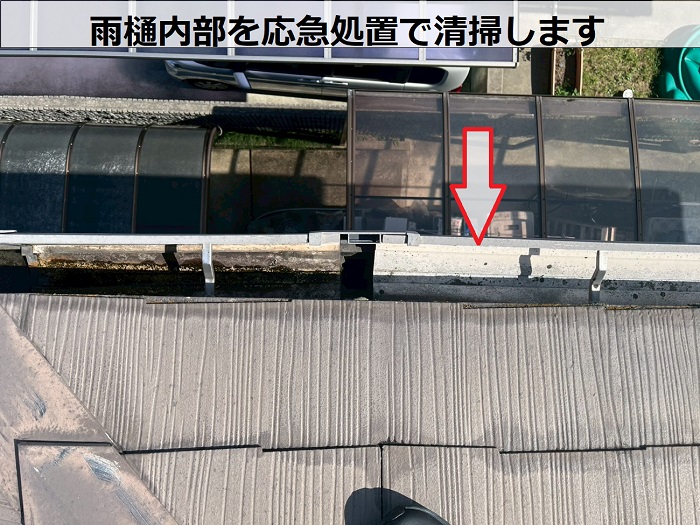 雨樋内部を清掃