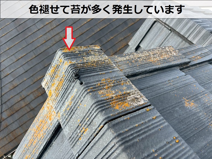 苔が発生しているセメント瓦