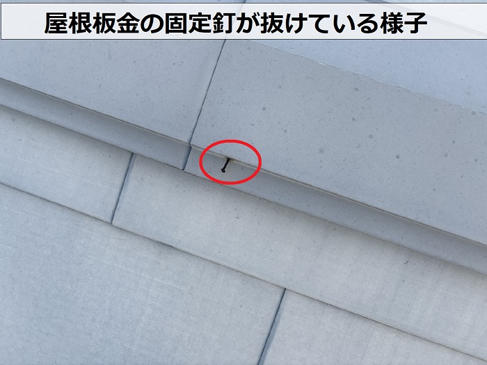 神戸市兵庫区で風災により浮いていると言われた屋根板金は釘が抜けてます