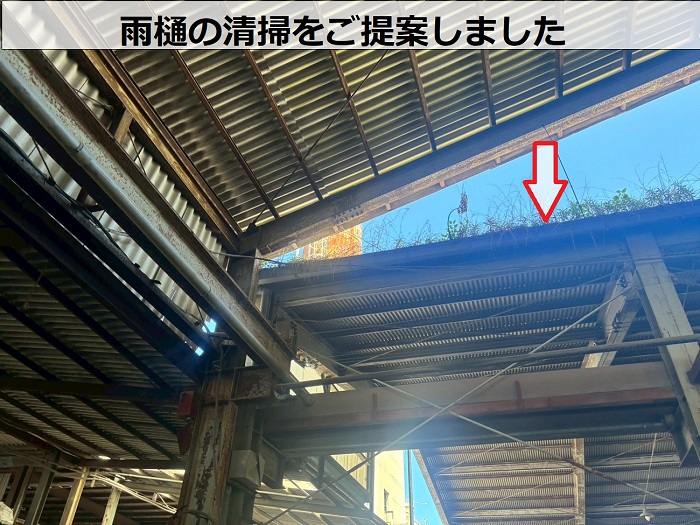 雨樋の清掃が必要な状態