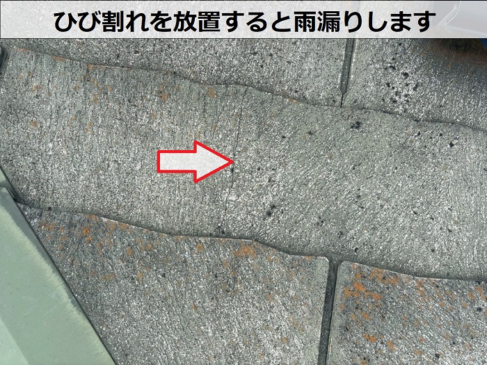 ひび割れたカラーベスト