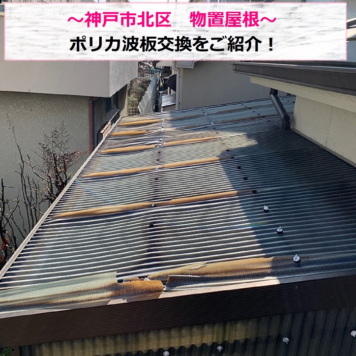 神戸市北区で物置屋根のポリカ波板を交換する現場の様子